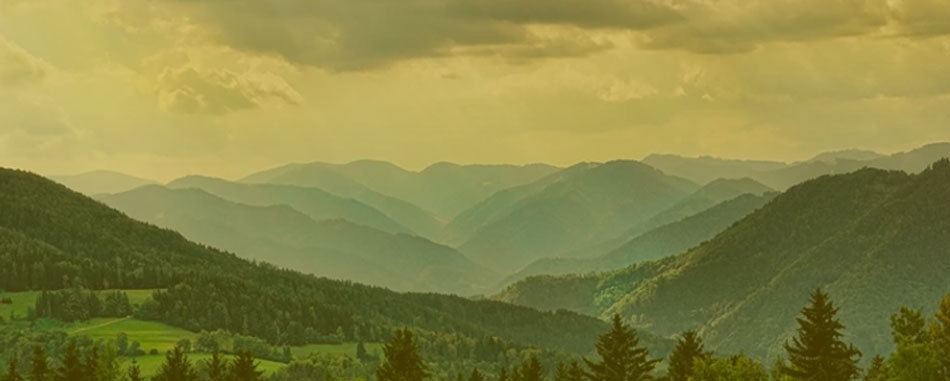 日韩国产人妻一区二区三区