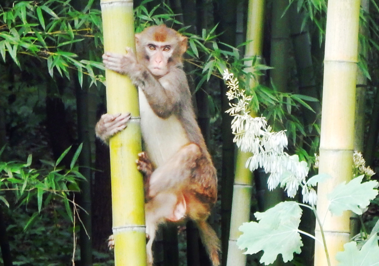 日韩国产人妻一区二区三区