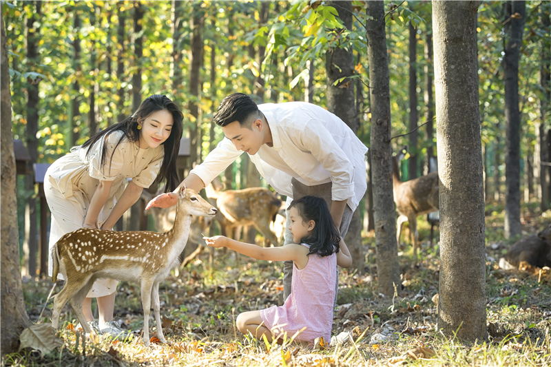 日韩国产人妻一区二区三区